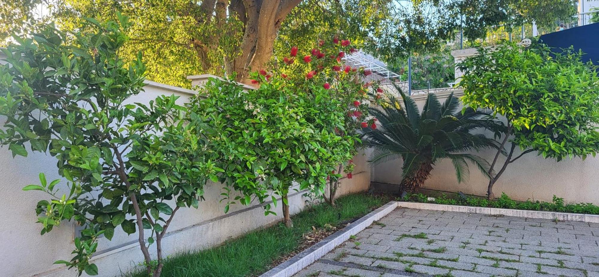Apartments Villa Alba Dubrovnik Exterior photo
